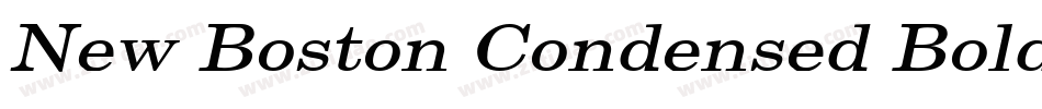 New Boston Condensed Bold Italic字体转换